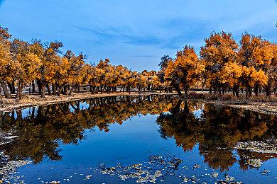 《视觉之上》开发者痛斥Team17 游戏将全网下架